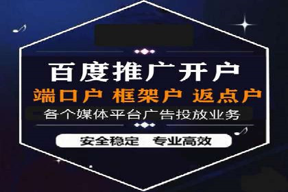 竞价排名与自然排名的对比案例
